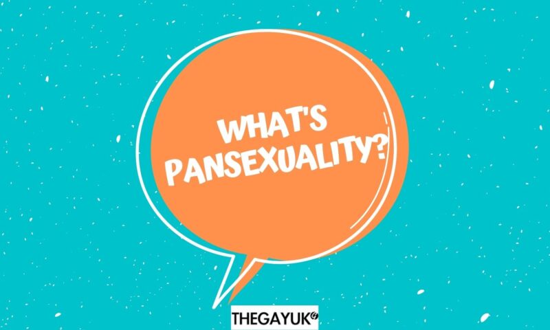 What does pansexuality mean? Who is pansexual? - THEGAYUK